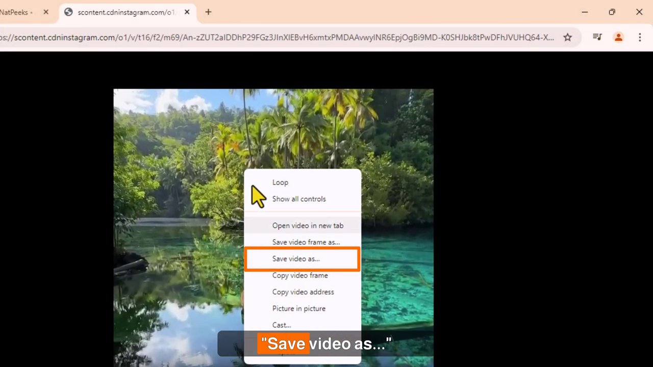 The system's "Save Video As" dialog box is open, allowing the user to name the file and choose a save location on the PC.