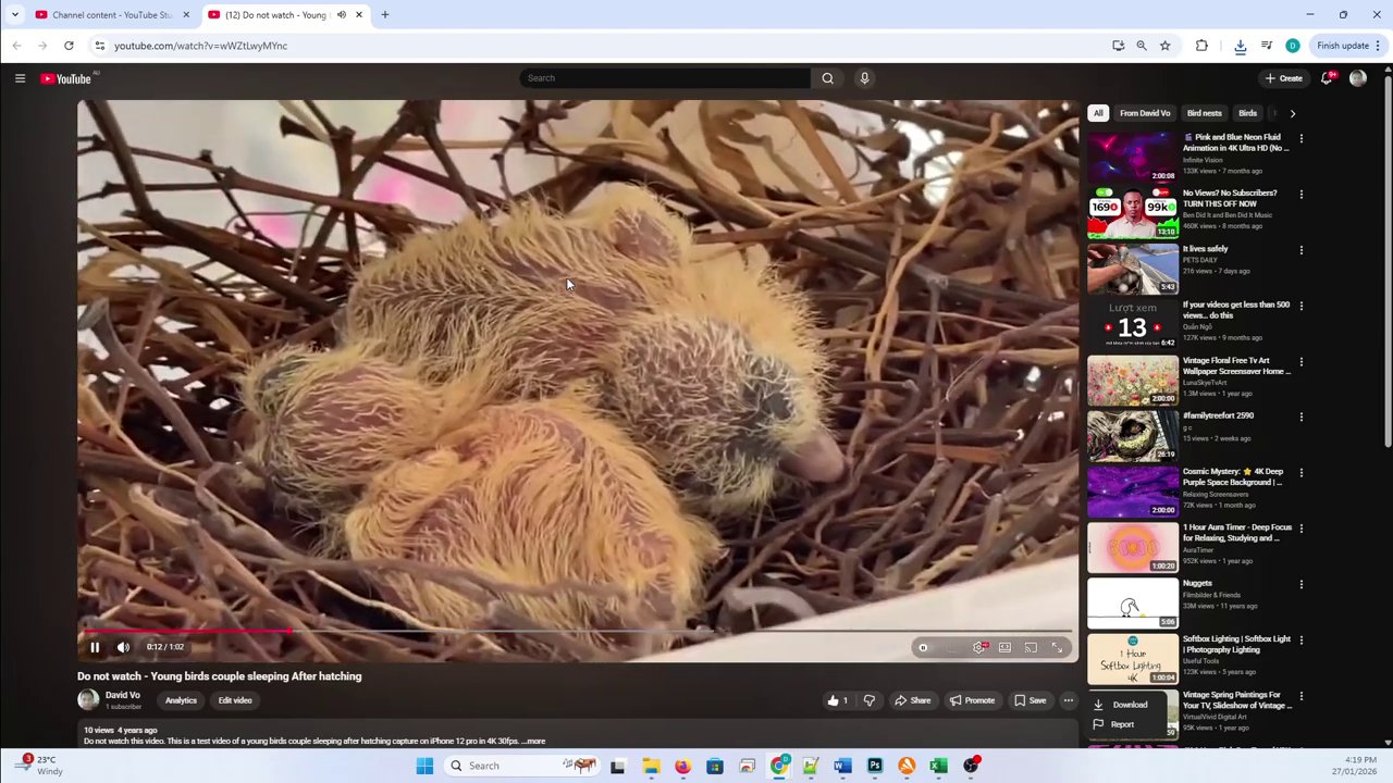 A view inside YouTube Studio, highlighting the 'Content' section in the left-hand menu.